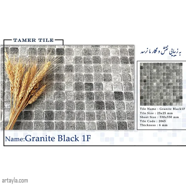 کاشی استخری گرانیت مشکی
